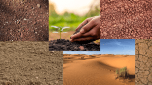 Types of Soils in India with Characteristics and Distribution – Alluvial, Black, Red, Laterite, Desert, Mountain Soils – UPSC Geography Notes in Hindi