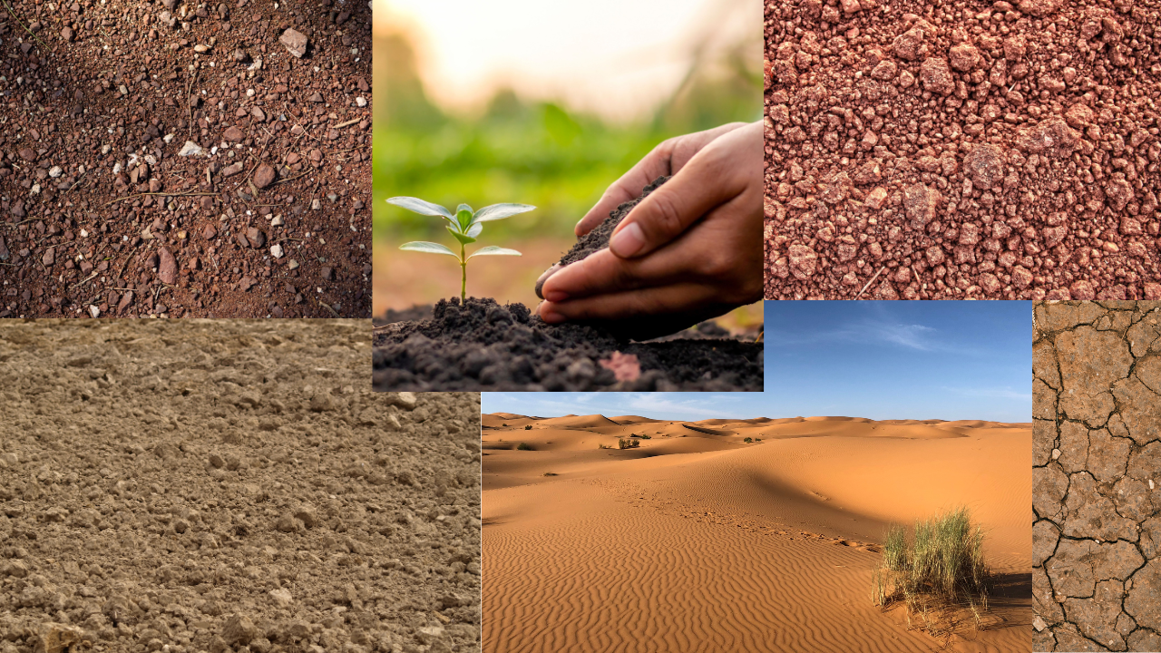 Types of Soils in India with Characteristics and Distribution – Alluvial, Black, Red, Laterite, Desert, Mountain Soils – UPSC Geography Notes in Hindi